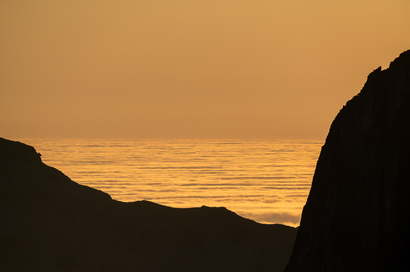 Nebelglocke über dem offenen Meer